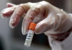 Регистрация первого препарата для лечения лихорадки Эбола будет ускорена