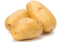 Для любителей картофеля: «второй хлеб» способен вызывать диабет