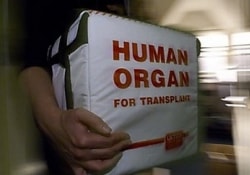 Полиция Шри-Ланки разоблачила банду «черных трансплантологов»