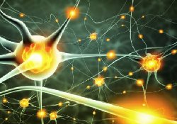 Электростимуляция мозга снизит, а не повысит IQ