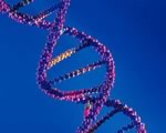 Ученые разгадали генетическую тайну шизофрении