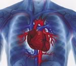 Витамины группы В не снижают риск развития сердечно-сосудистых заболеваний