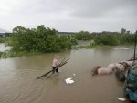 Государственная санитарно-эпидемиологическая служба Украины  выясняет последствия наводнения