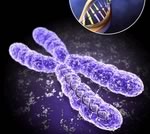 Может ли генетика бороться с болезнями?