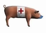 ВОЗ объявила пандемию свиного гриппа