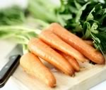 Морковка снижает риск развития рака груди
