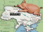 Какова ситуация со свиным гриппом на Украине и в мире?