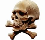 Структура костей черепа отличается от структуры тазовых костей