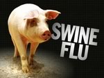 Фармацевтические компании обвиняются в инициации объявления ложной пандемии гриппа