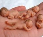 В Англии разыграют в лотерею... человеческую яйцеклетку