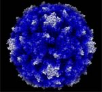 В Москве с подозрением на полиомиелит госпитализирована девочка