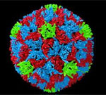 Война с грозной болезнью продолжается: медики Российской Федерации выявили уже 7 случаев заболевания полиомиелитом