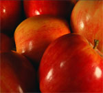 Старая пословица верна: яблоки – полезнейший продукт