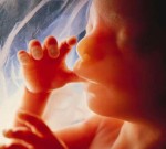 Рекламе абортов на британском ТВ – быть!
