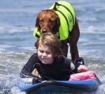 Пес по кличке Рикошет – любимый инструктор по серфингу детей-инвалидов