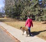 Пешие прогулки улучшают память