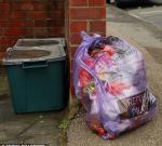 Мусорить в меру или превратить дом в мусоросборник