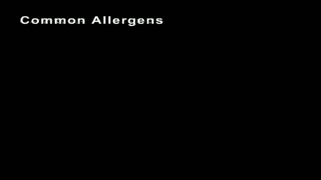 Аллергия – «медвежья услуга» иммунной системы