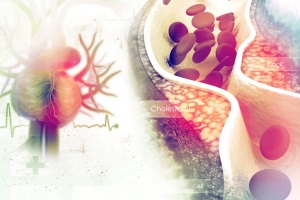 Роль інгібіторів ангіотензинперетворюючого ферменту в сучасному лікуванні серцево-судинних захворювань