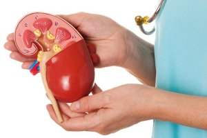 Тарас Никула: «Наступним етапом розвитку нефрології має стати прийняття консенсусу»