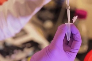 История ферментных препаратов