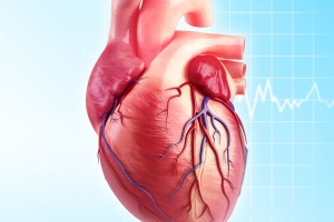 Доказан ли классовый эффект ингибиторов АПФ у больных с сердечно-сосудистыми заболеваниями без дисфункции левого желудочка?