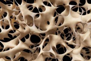 Остеопороз – «мовчазна» епідемія