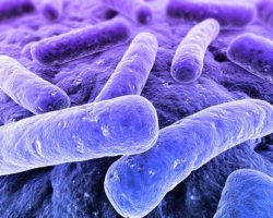 Что такое моющие пробиотики и принцип их работы