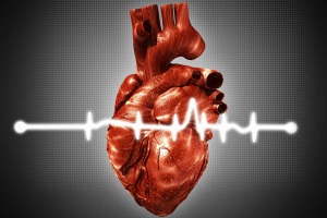 Нарушения сердечного ритма. Диагностика и неотложная помощь
