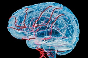 Роль артериальной гипертензии в развитии сосудистой деменции
