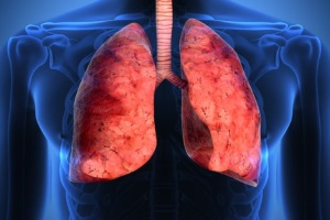 Рекомендации Глобальной инициативы по борьбе с бронхиальной астмой (Global Initiative for Asthma, GINA), пересмотр 2006 г.