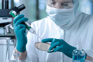 Исследования стволовых клеток: клонирование, терапия и научное мошенничество