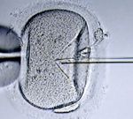 Уровень глюкозы укажет на наиболее жизнеспособные эмбрионы при процедуре ЭКО