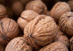Грецкие орехи предотвравратят  рак груди