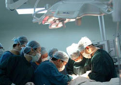 Впервые в мире произведена трансплантация матки от посмертного донора