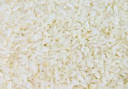 Рис станет источником компонентов человеческой крови