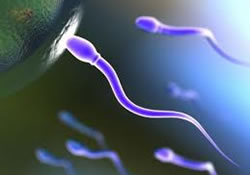 Революция в контрацепции: «обезопасить» партнера на 2-3 месяца за один сеанс