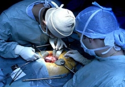Китайские «черные трансплантологи» ответят за купленную у школьника почку