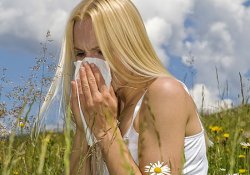 Что полезного в аллергии