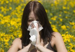 Аллергия портит жизнь: печальная статистика