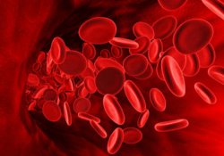 Группа крови расскажет о болезнях сердца
