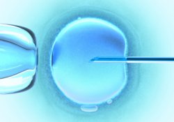 Открытие шотландских ученых - переворот в репродуктивной медицине
