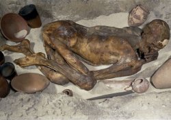 Судебно-медицинскую экспертизу трупа провели 5 500 лет спустя после убийства