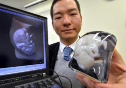 Японки на память о беременности могут заказать «скульптуру» своего живота и плода