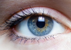 Выявлен новый прогностический фактор открытоугольной глаукомы