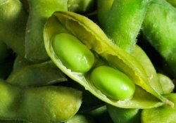 Любимое блюдо жителей Юго-Восточной Азии способно предотвращать рак