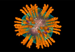 Обнаружен новый прогностический фактор течения рака печени при  гепатите С