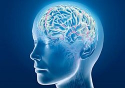Склонность к мигреням может быть связана с толщиной коры головного мозга