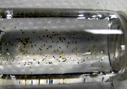 Новый метод биопсии позволяет получать десятки образцов ткани органа одновременно