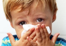 Найдены главные виновники распространения вирусов гриппа во время эпидемии
